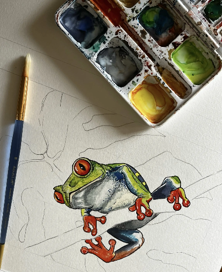 watercolour of frog